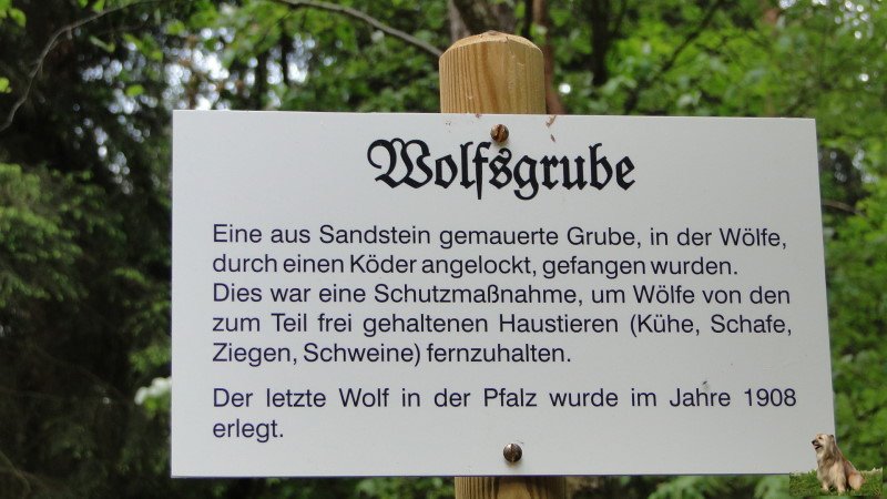 Ritterstein Nr. 048-6 Wolfsgrub 105 Schr..JPG - Ritterstein Nr.48 Wolfsgrub 105 Schr.